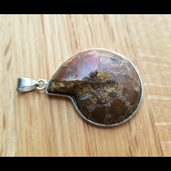 Ammonite fossil shell pendant - Picture 3 of 3
